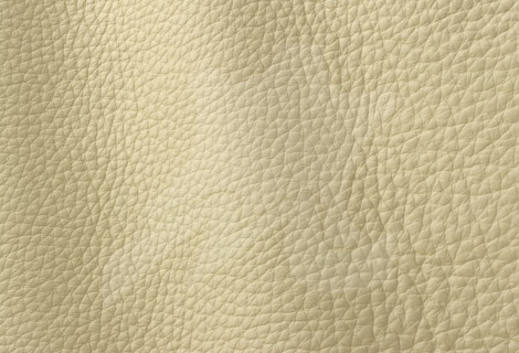 Atlantic Collection Cream 521