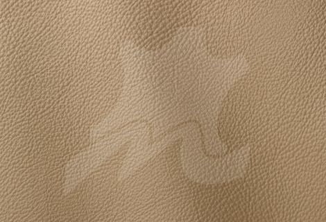 Prescott Collection Buckskin 213