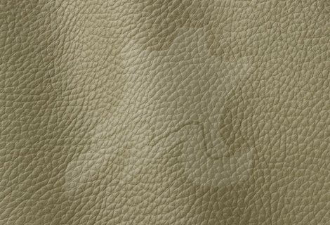 Atlantic Collection Olive 546