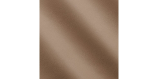 Express Fashion Skyline Nude MS310185