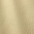 Express Interior & Design Atlantic Cream 521