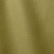 Express Interior & Design Atlantic Yellow Green 545