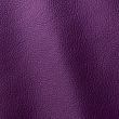 Express Nautical Ocean Purple 451